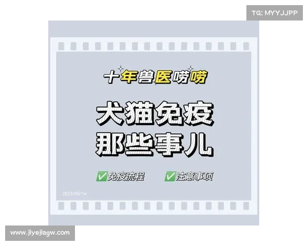猫狗传染病预防治疗全解析