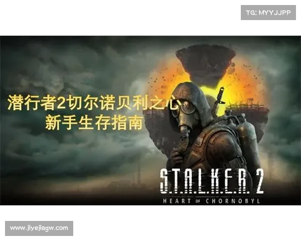 躲避辐射区的怪物：生存指南