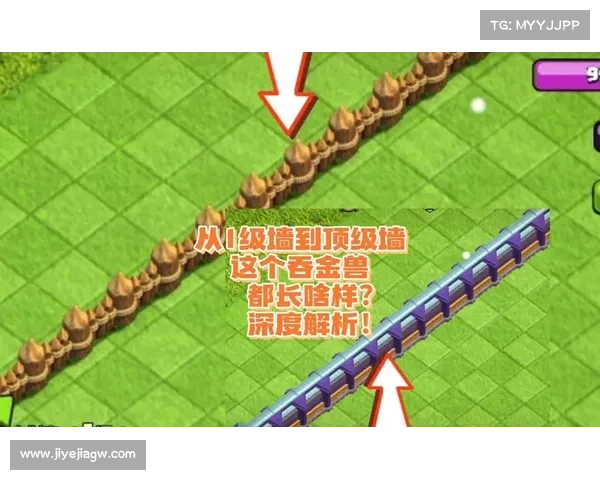 部落契约专区攻略详解：从新手到大师的进阶之旅